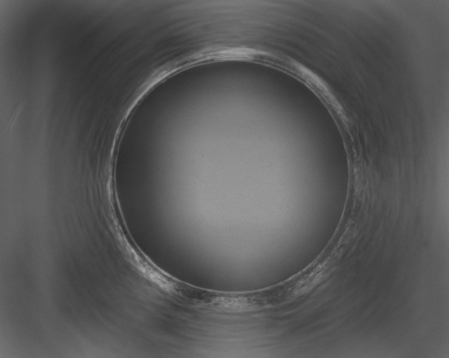 X0000084021194200702232223
