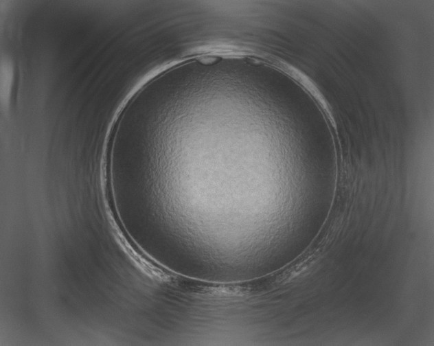 X0000084021195200702232223