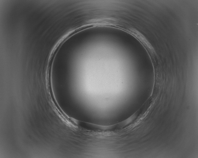 X0000084021196200702232223