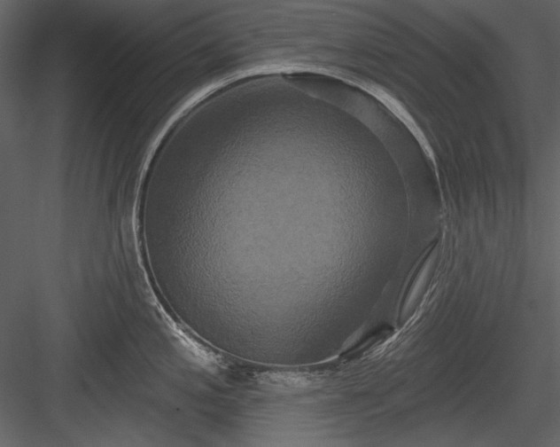 X0000084021197200702232223