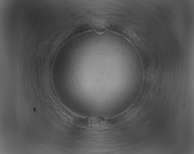 X0000084021201200702232222