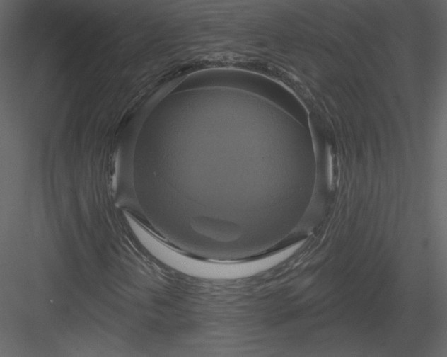 X0000084021202200702232222