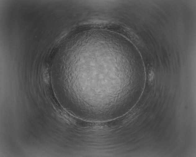 X0000084021204200702232222