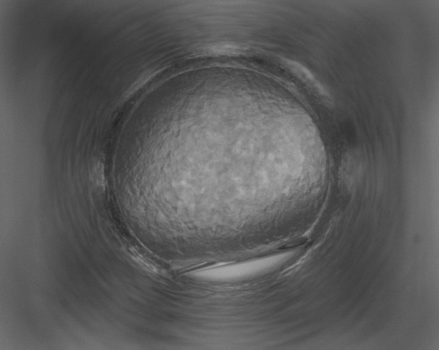 X0000084021209200702232223