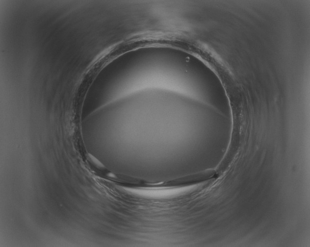 X0000084021213200702232223