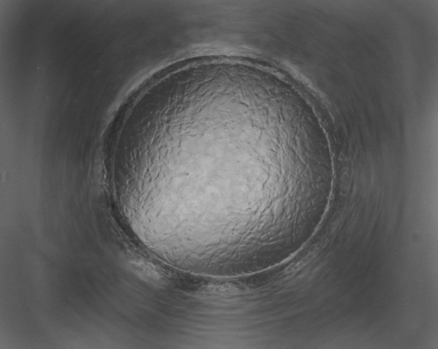 X0000084021215200702232223