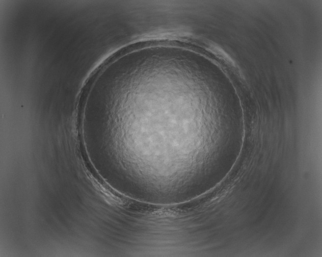X0000084021216200702232223