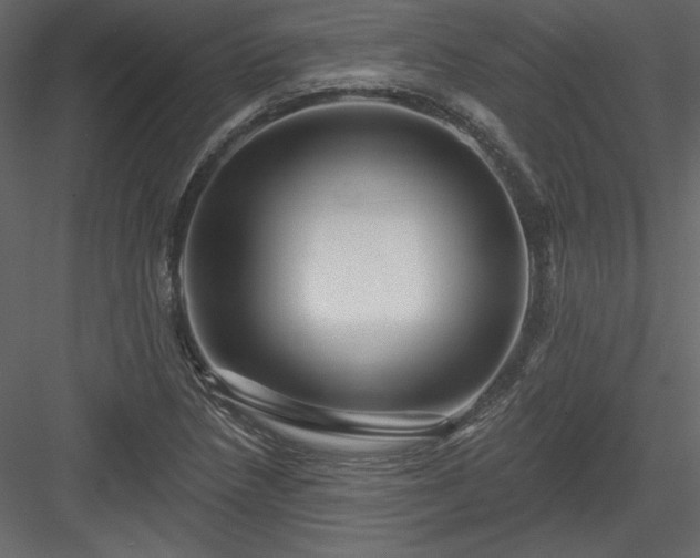 X0000084021218200702232223