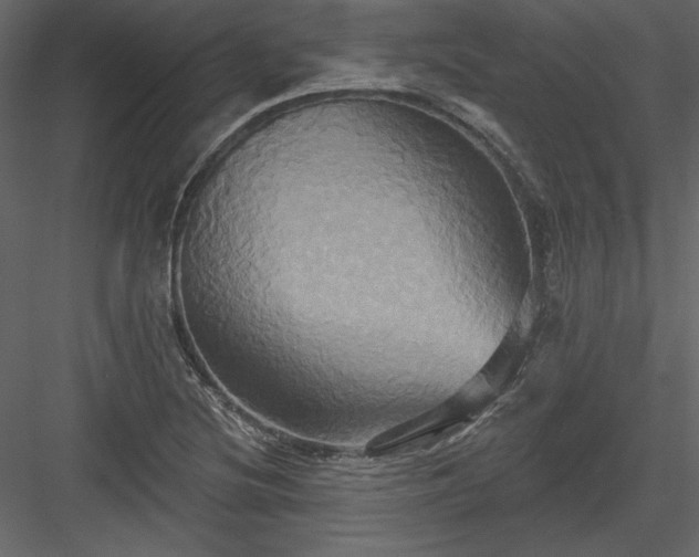X0000084021220200702232223