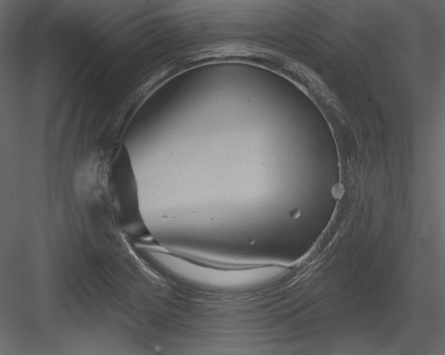 X0000084021225200702232223