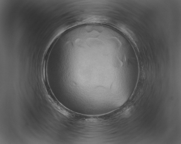 X0000084021227200702232223