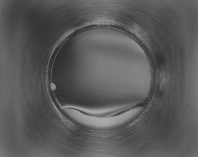 X0000084021229200702232223