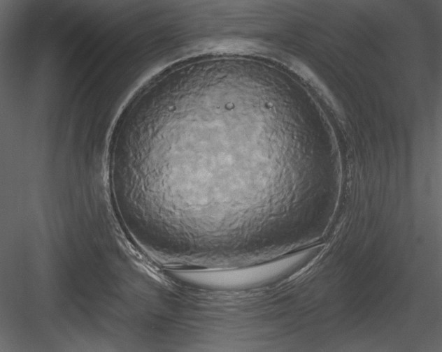 X0000084021232200702232223