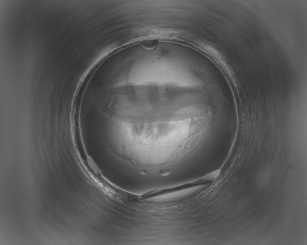 X0000084021235200702232223