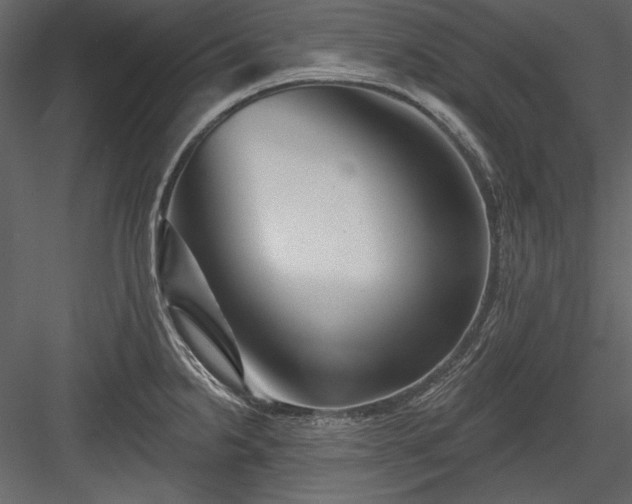 X0000084021238200702232223