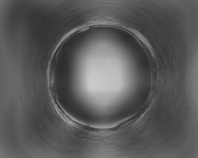 X0000084021246200702232223