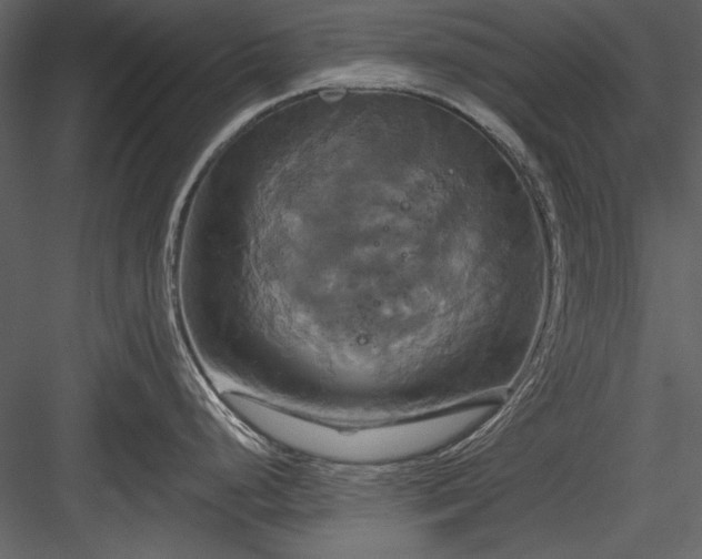 X0000084021248200702232223