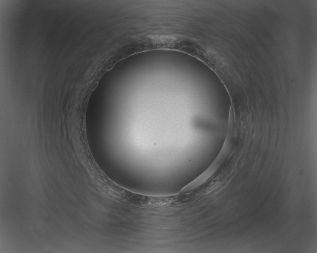 X0000084021249200702232222