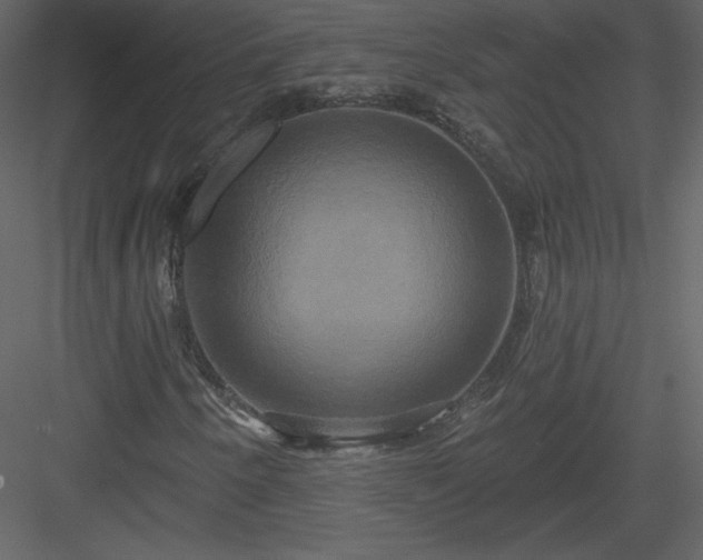 X0000084021250200702232222