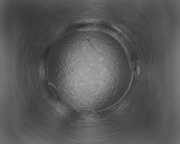 X0000084021252200702232222