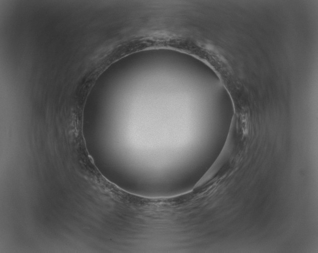 X0000084021253200702232222