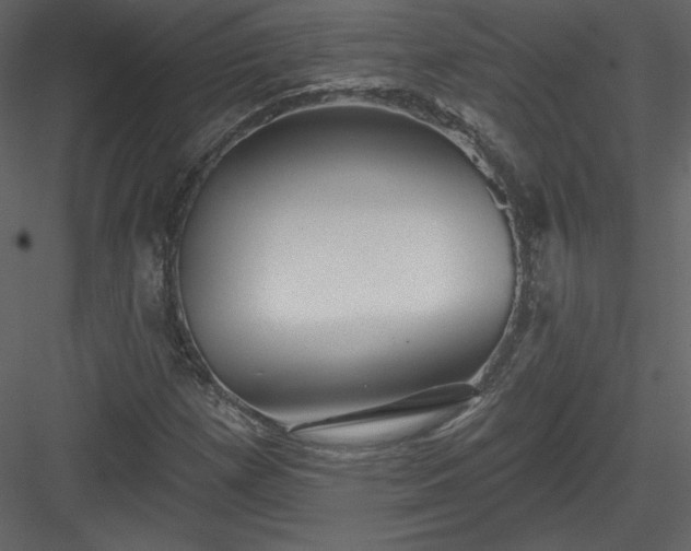 X0000084021257200702232222