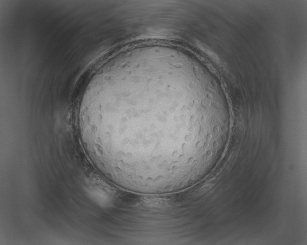 X0000084021258200702232222