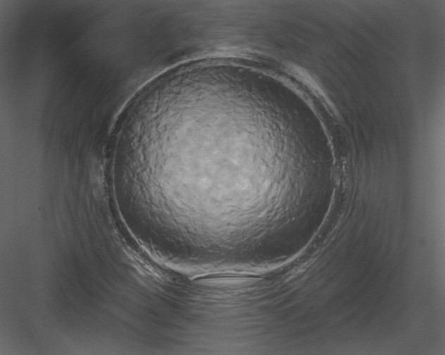X0000084021260200702232222