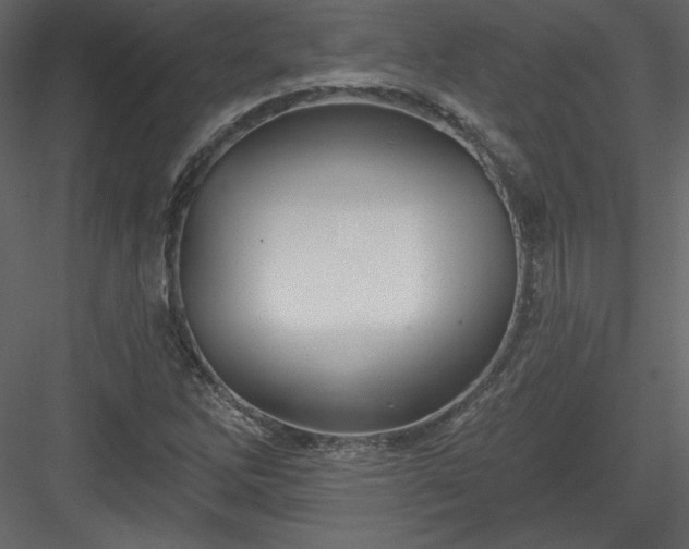 X0000084021262200702232222
