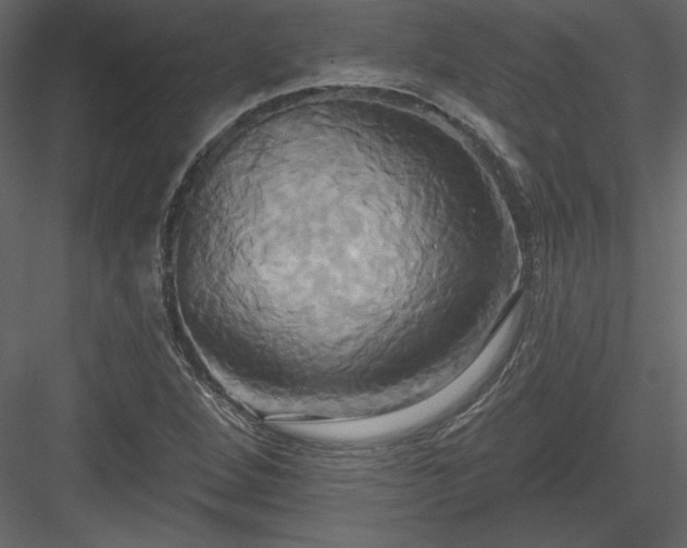 X0000084021264200702232222