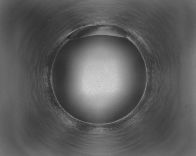 X0000084021265200702232222