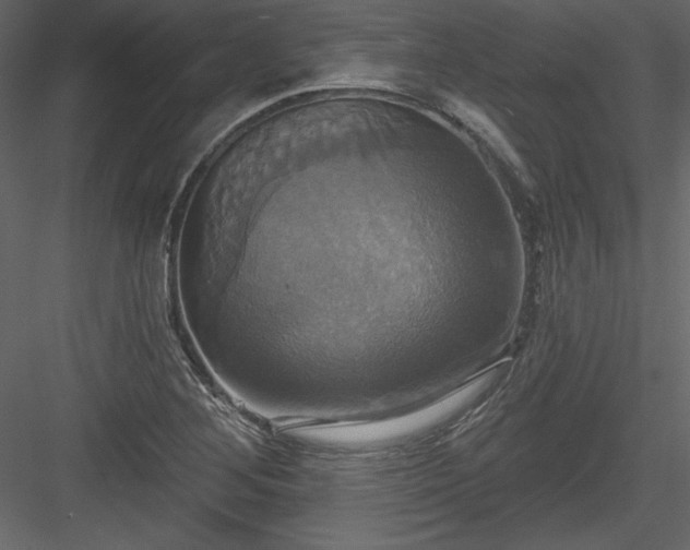 X0000084021268200702232222