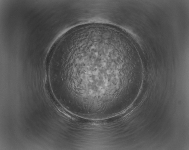 X0000084021271200702232222