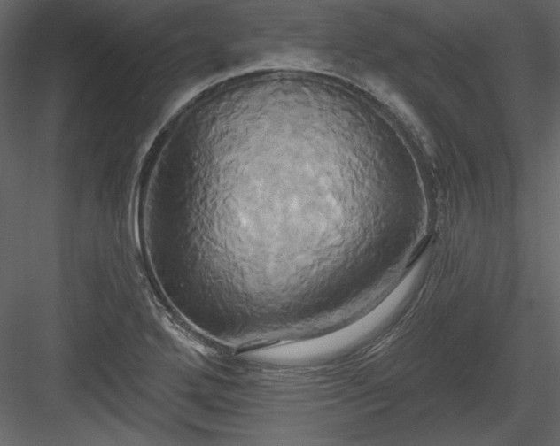 X0000084021272200702232222