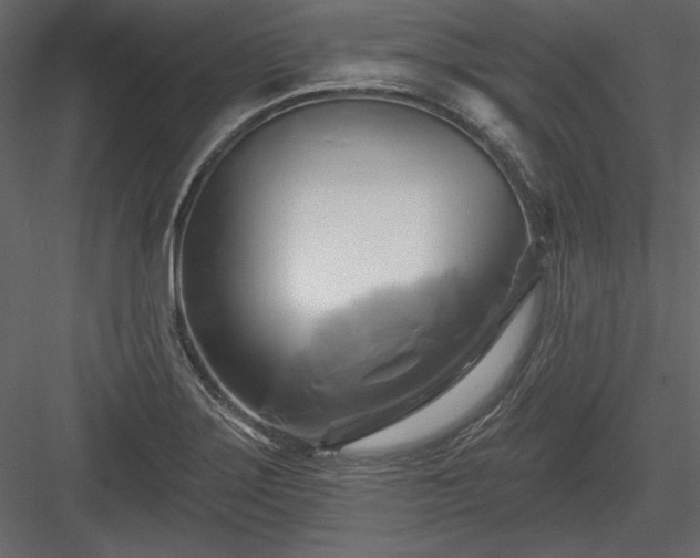 X0000084021275200702232222