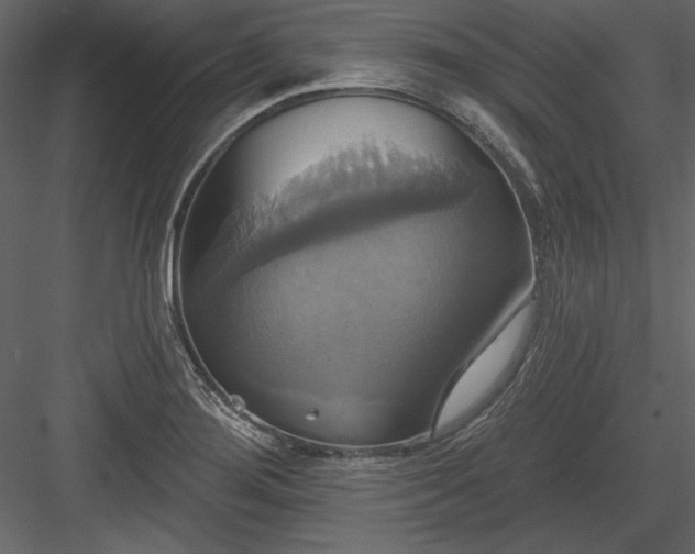 X0000084021276200702232222