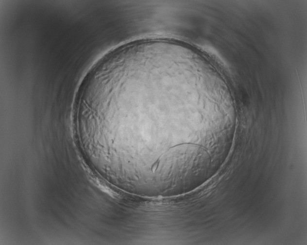 X0000084021278200702232222