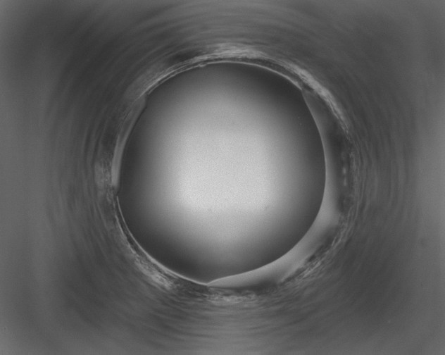 X0000084021281200702232222
