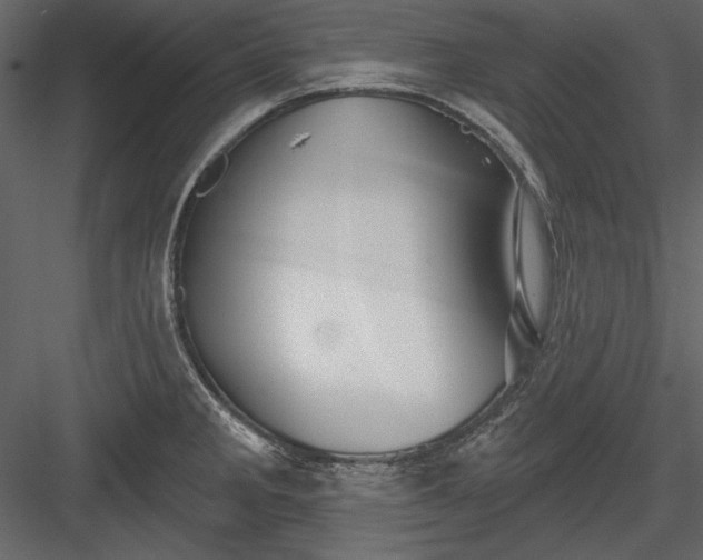 X0000084021285200702232222