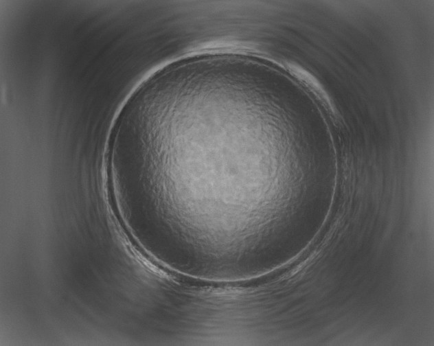 X0000084021288200702232222