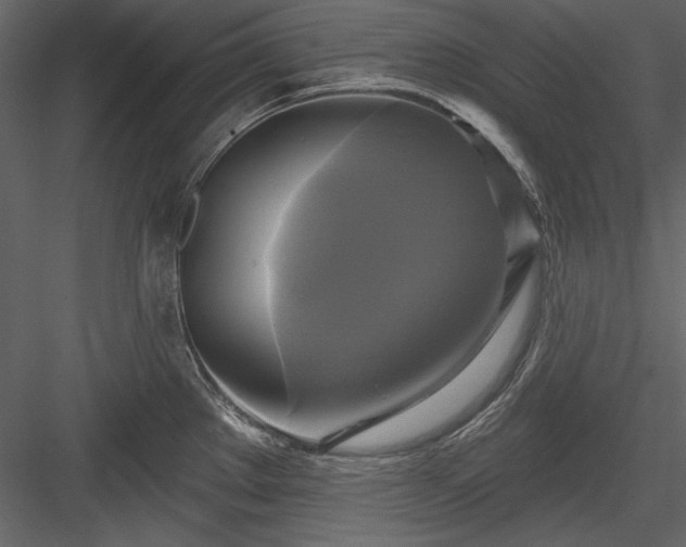 X0000084021289200702232222