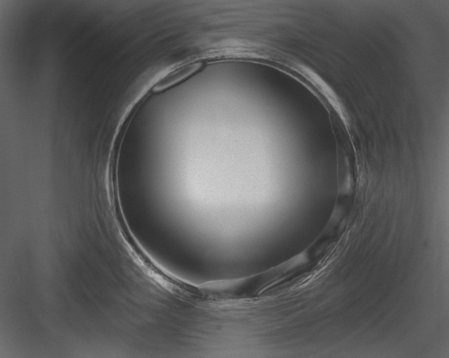 X0000084021293200702232222