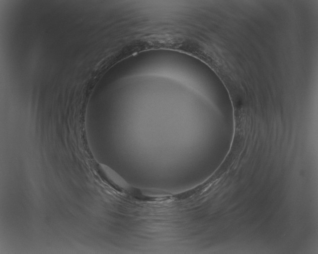 X0000084021297200702232221