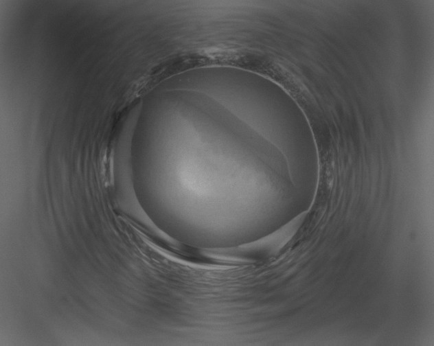 X0000084021298200702232221