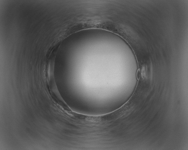 X0000084021299200702232221