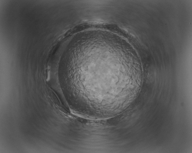 X0000084021301200702232221