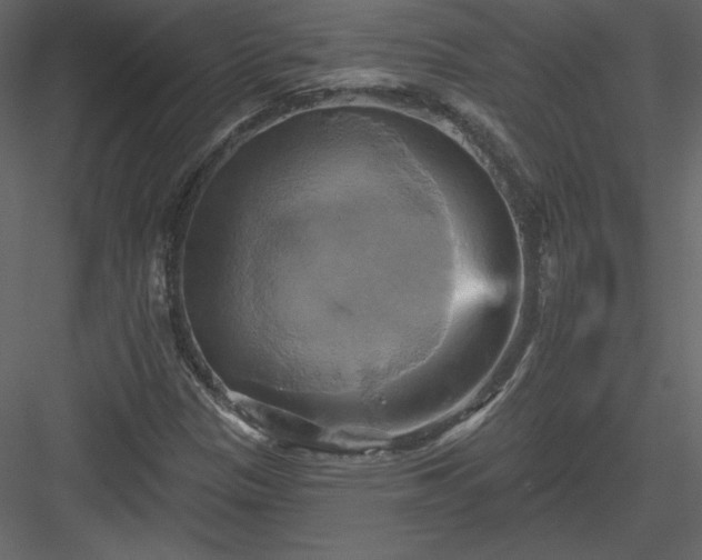 X0000084021305200702232221