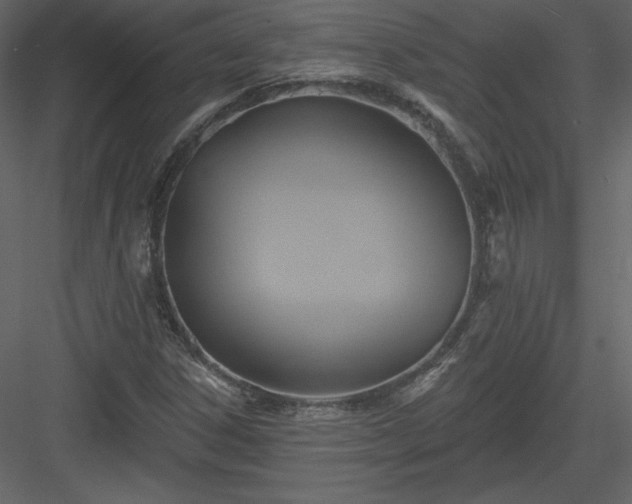 X0000084021306200702232221