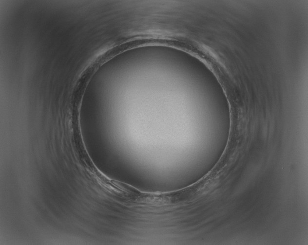 X0000084021307200702232221
