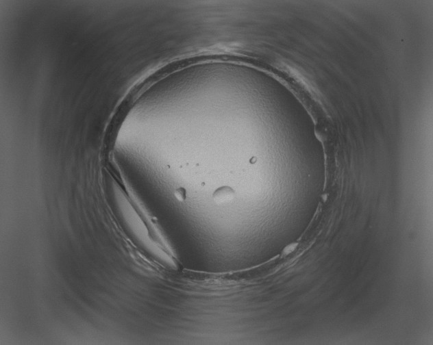 X0000084021308200702232221